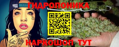 Альфа ПВП Пенза