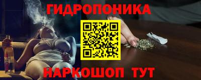 Альфа ПВП Пенза