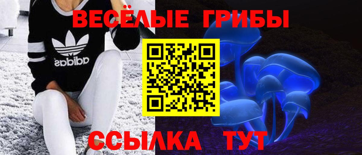 Топки  Галлюциногенные грибы мицелий  Галлюциногенные грибы Psilocybine cubensis  Вход с VPN 