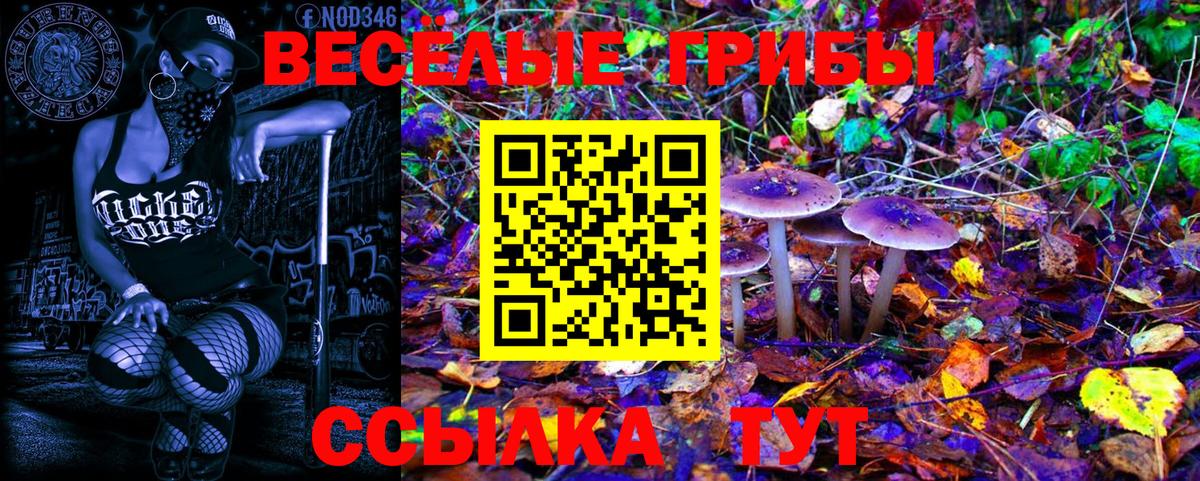 Галлюциногенные грибы Cubensis Топки